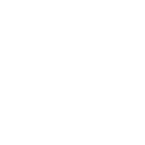 Cost Efficiency<br />
