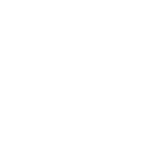 Consulting Services