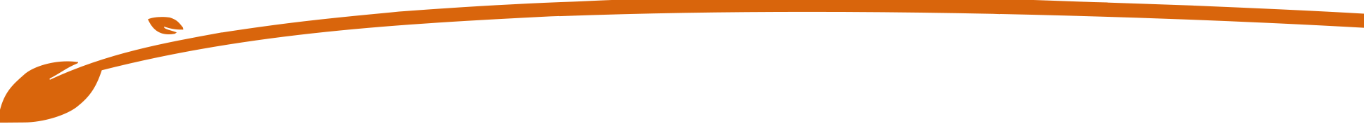 Shape Up orange